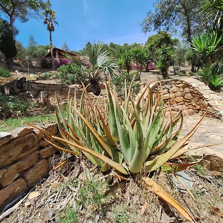 Caldinelli Villa Muravera
