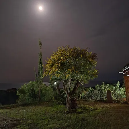 Caldinelli مورافيرا