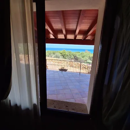 فيلة Caldinelli *